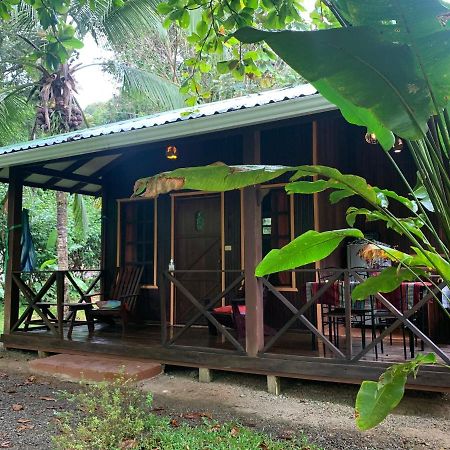 Cabinas Coco Lindo Охочаль Экстерьер фото